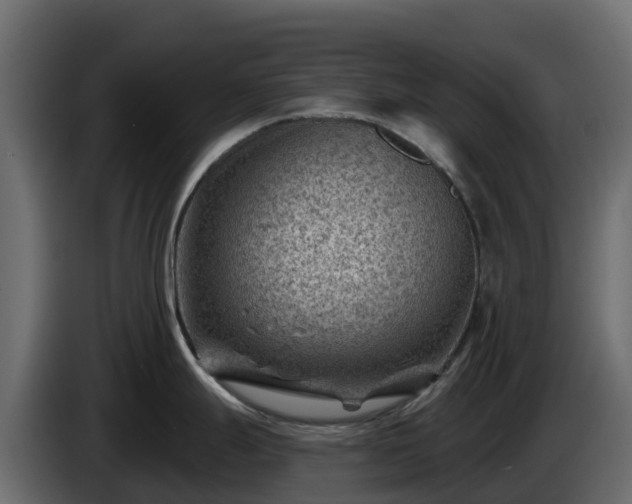 X0000085801247200703231323