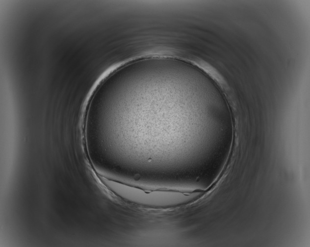X0000085801248200703231323