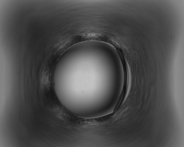 X0000085801250200703231322