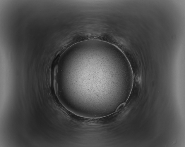 X0000085801252200703231322