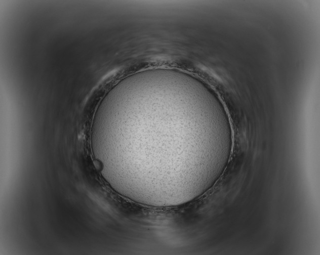 X0000085801254200703231322