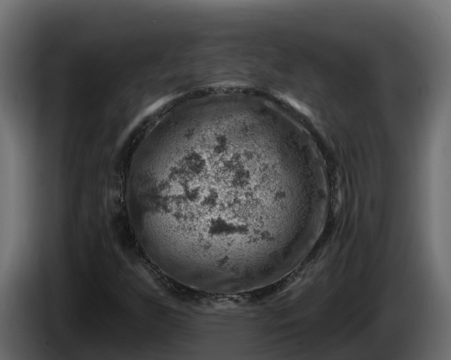 X0000085801255200703231322