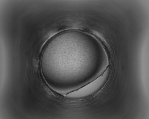 X0000085801260200703231322