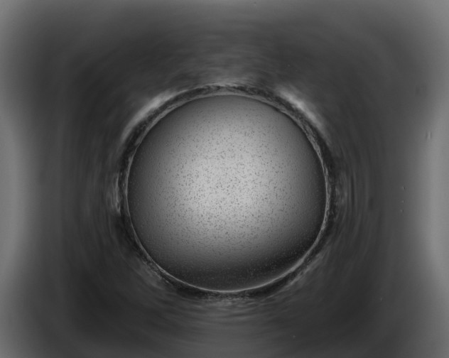 X0000085801262200703231322