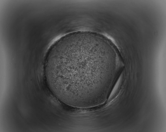 X0000085801263200703231322