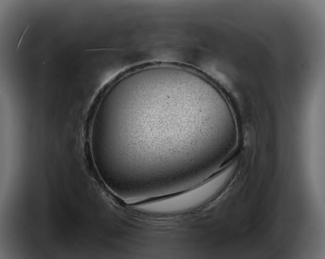X0000085801264200703231322