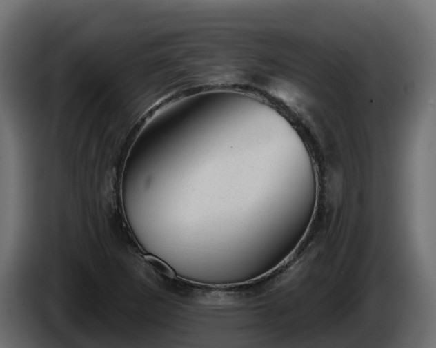 X0000085801265200703231322
