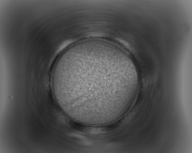 X0000085801266200703231322