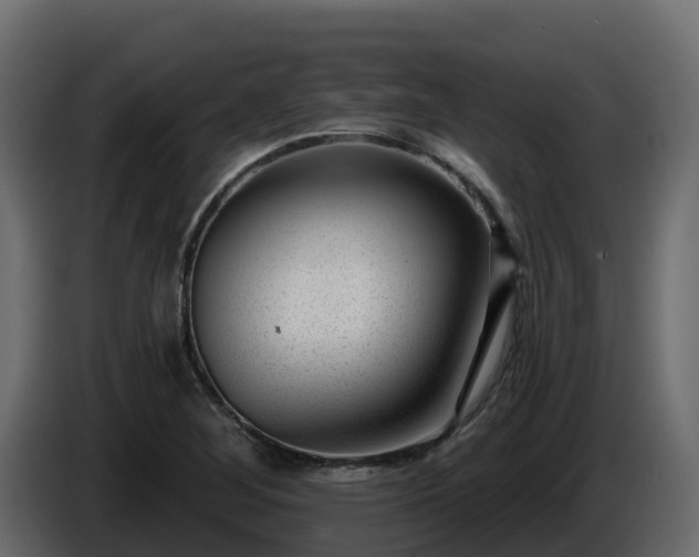 X0000085801268200703231322