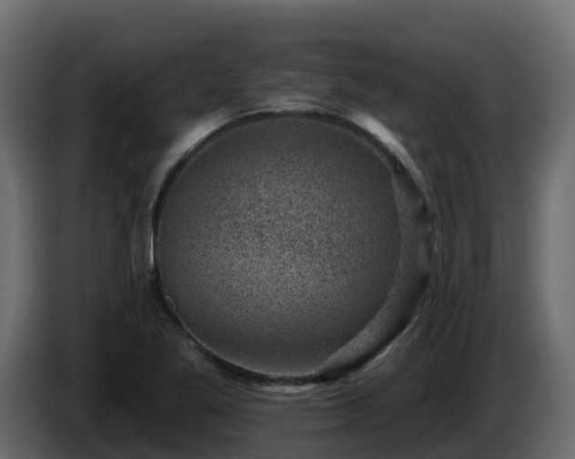 X0000085801269200703231322