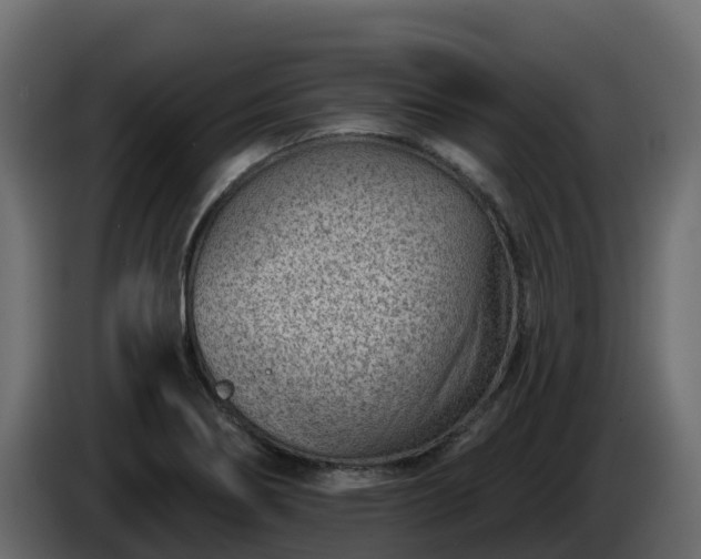 X0000085801274200703231322