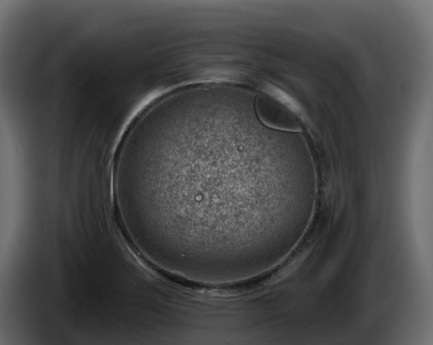 X0000085801275200703231322