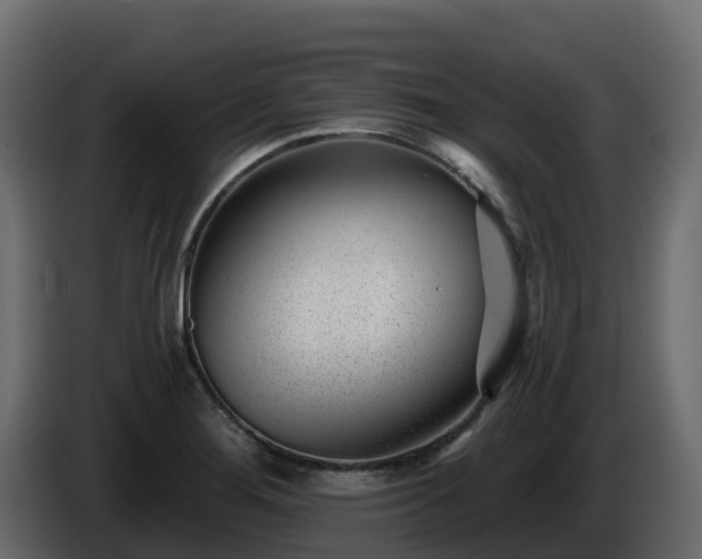X0000085801276200703231322