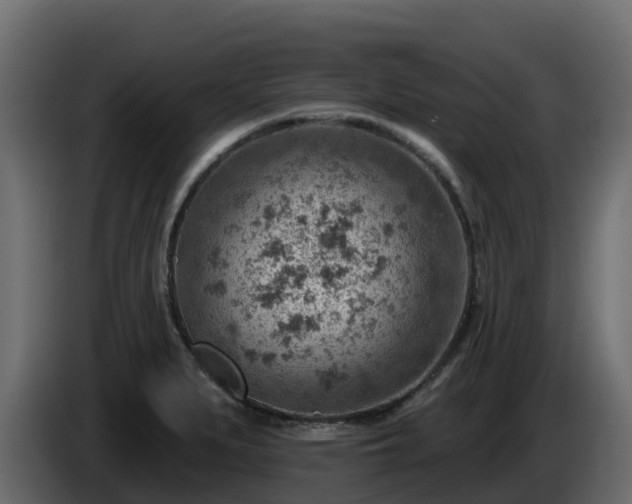 X0000085801279200703231322