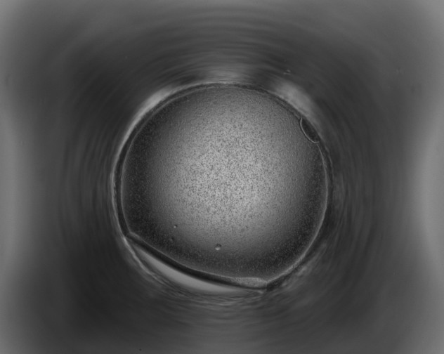 X0000085801283200703231322