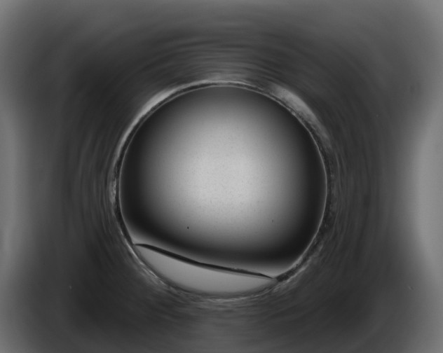 X0000085801284200703231322