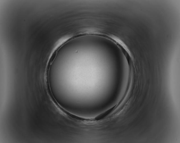 X0000085801285200703231322