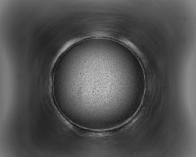 X0000085801286200703231322