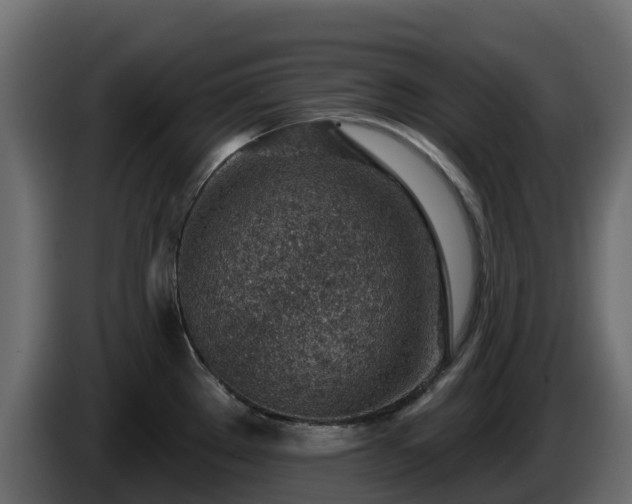 X0000085801289200703231322