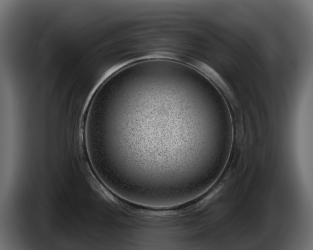 X0000085801292200703231322