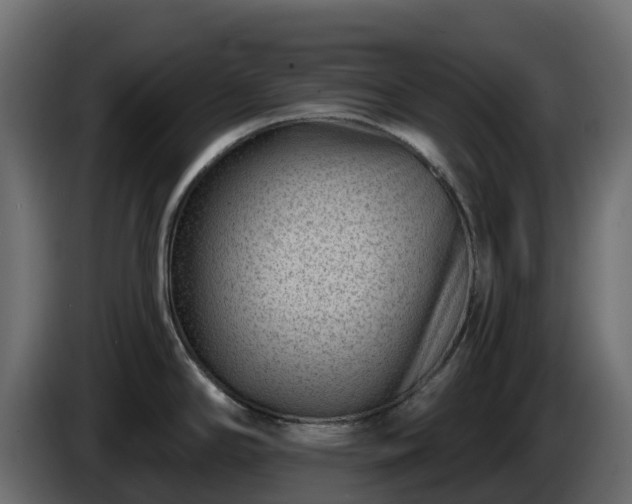 X0000085801294200703231322