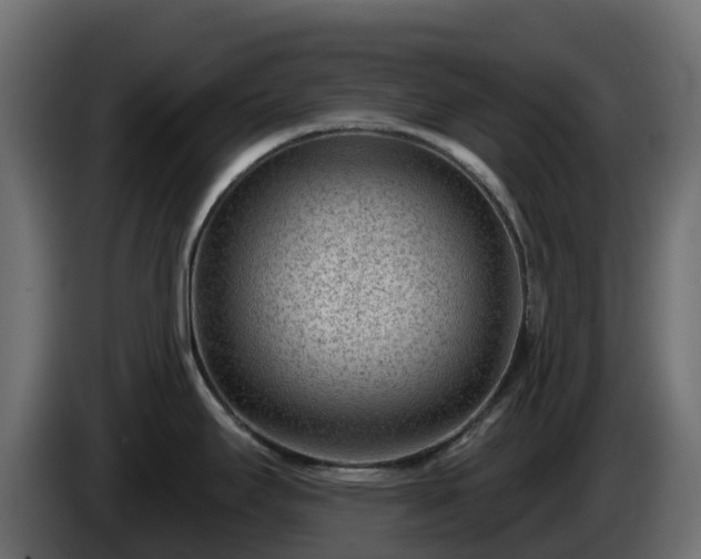 X0000085801295200703231322