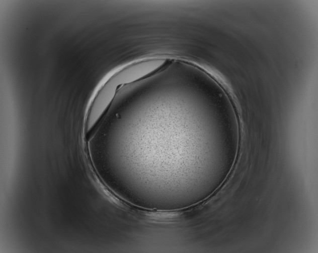 X0000085801296200703231322