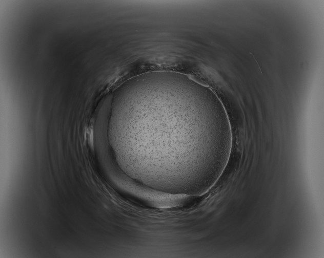 X0000085801298200703231321