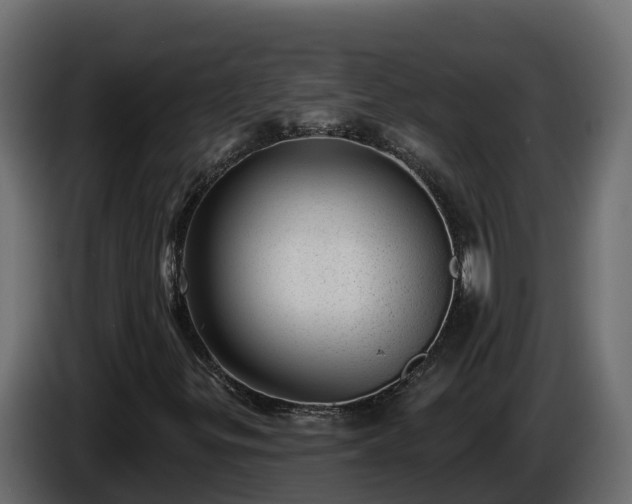 X0000085801299200703231321