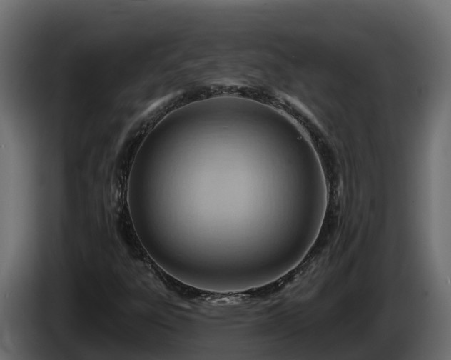 X0000085801303200703231321