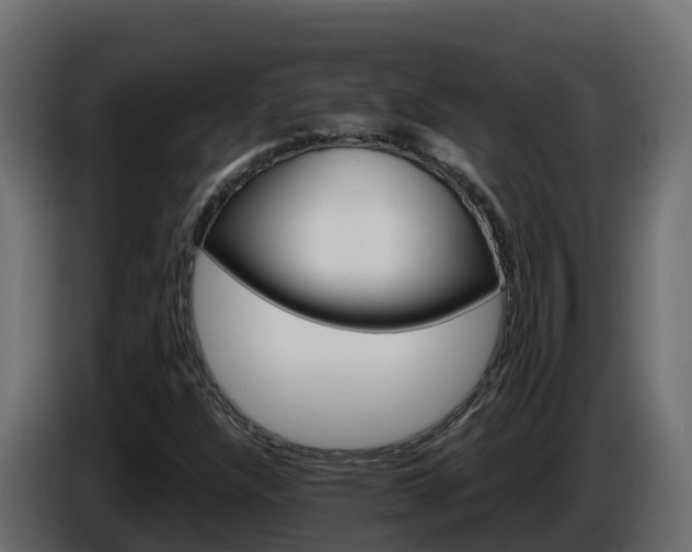 X0000085801304200703231321