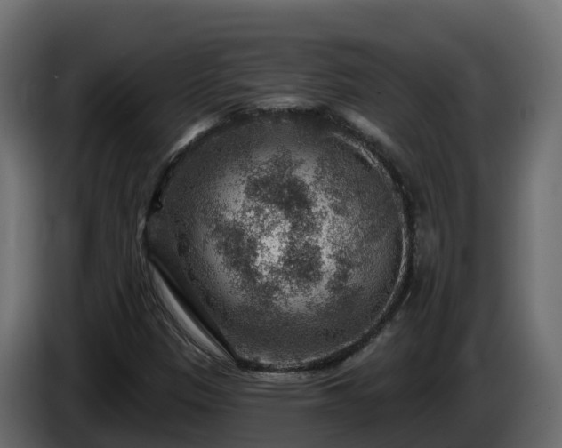 X0000085801305200703231321