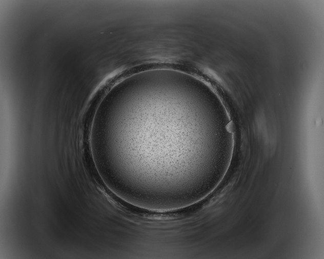 X0000085801307200703231321