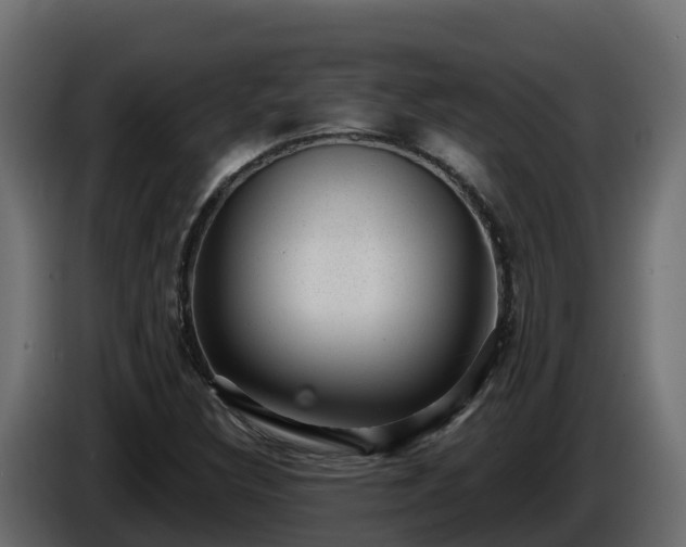 X0000085801308200703231321