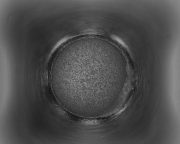 X0000085801310200703231321
