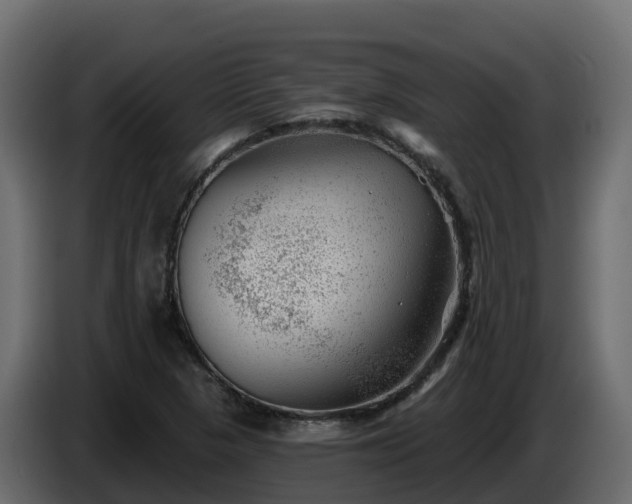 X0000085801313200703231321