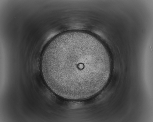X0000085801314200703231321
