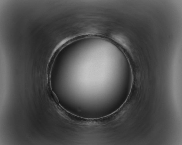 X0000085801316200703231321