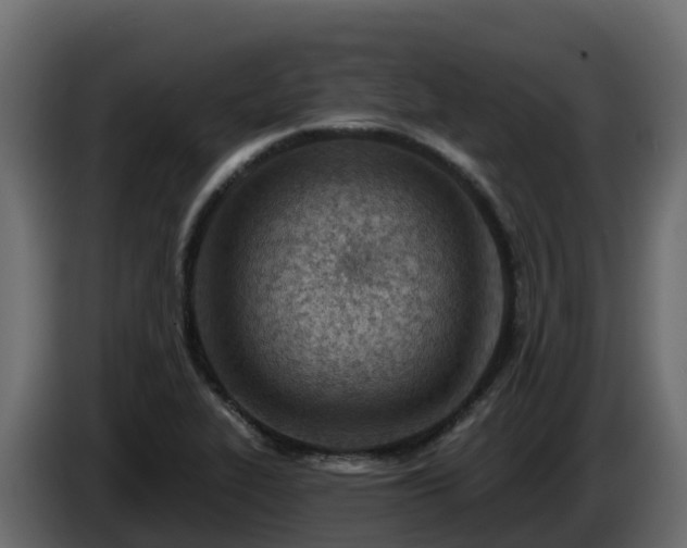 X0000085801319200703231321
