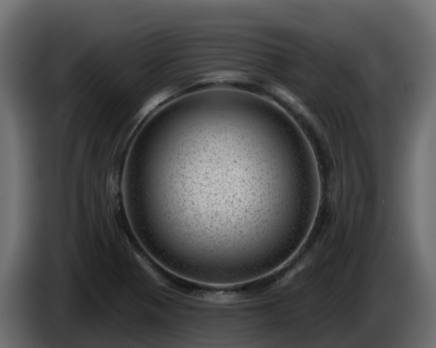 X0000085801321200703231321