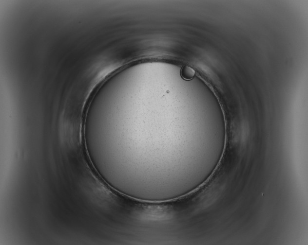 X0000085801322200703231321