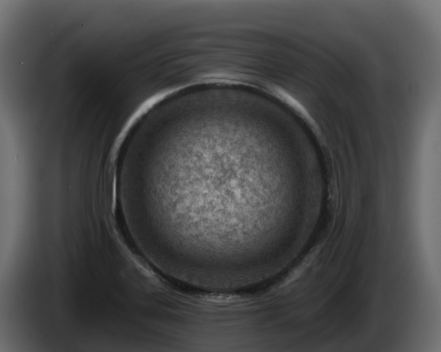 X0000085801323200703231321