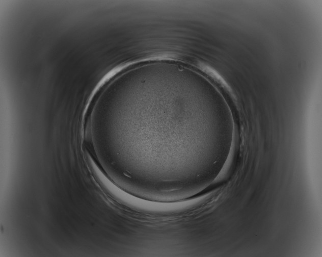 X0000085801324200703231321