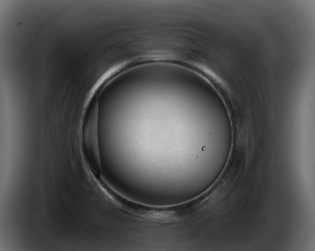 X0000085801325200703231321