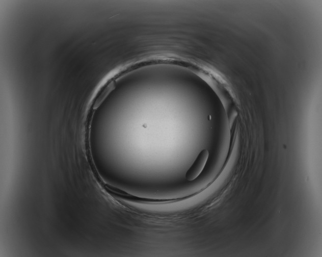 X0000085801326200703231321