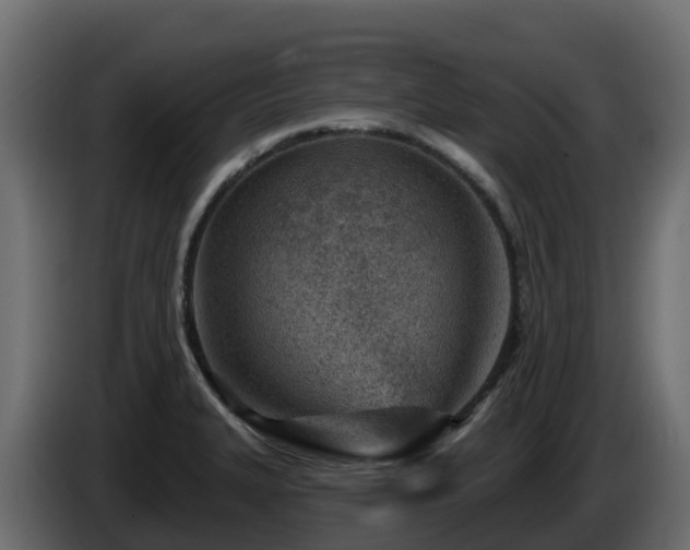 X0000085801327200703231321
