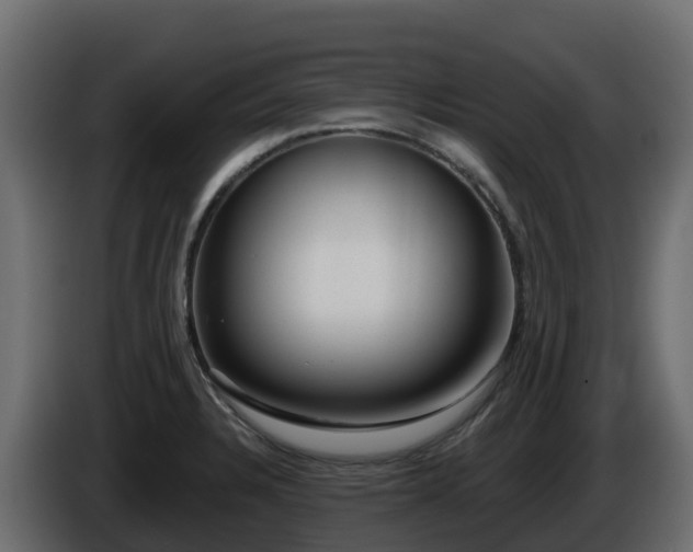 X0000085801328200703231321