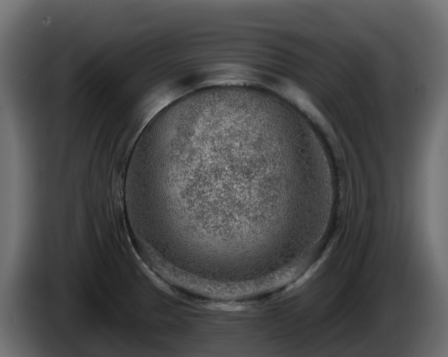 X0000085801329200703231321
