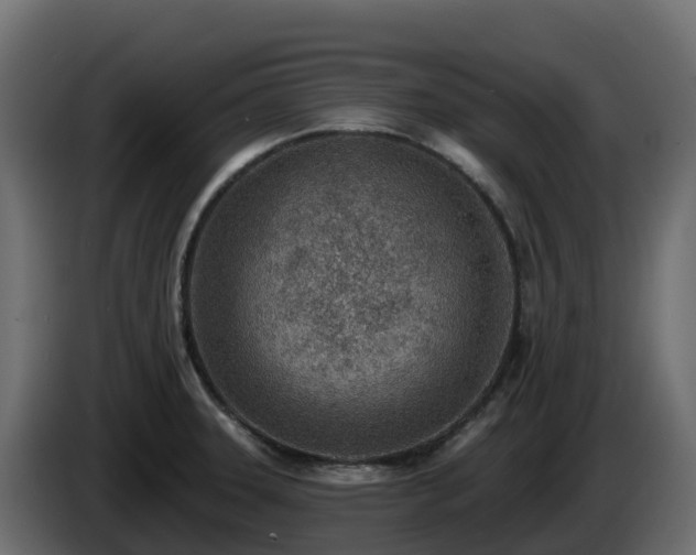 X0000085801331200703231321
