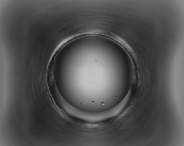 X0000085801332200703231321